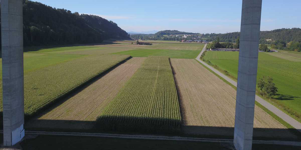 Der Countdown in Gümmenen läuft