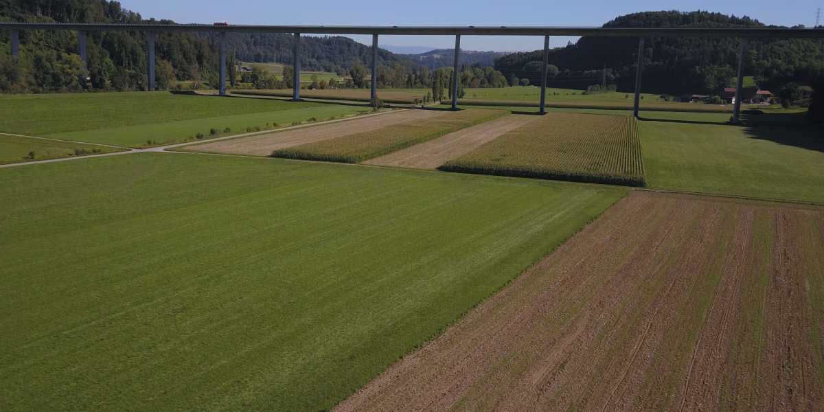 in rund 100 tagen ist es soweit